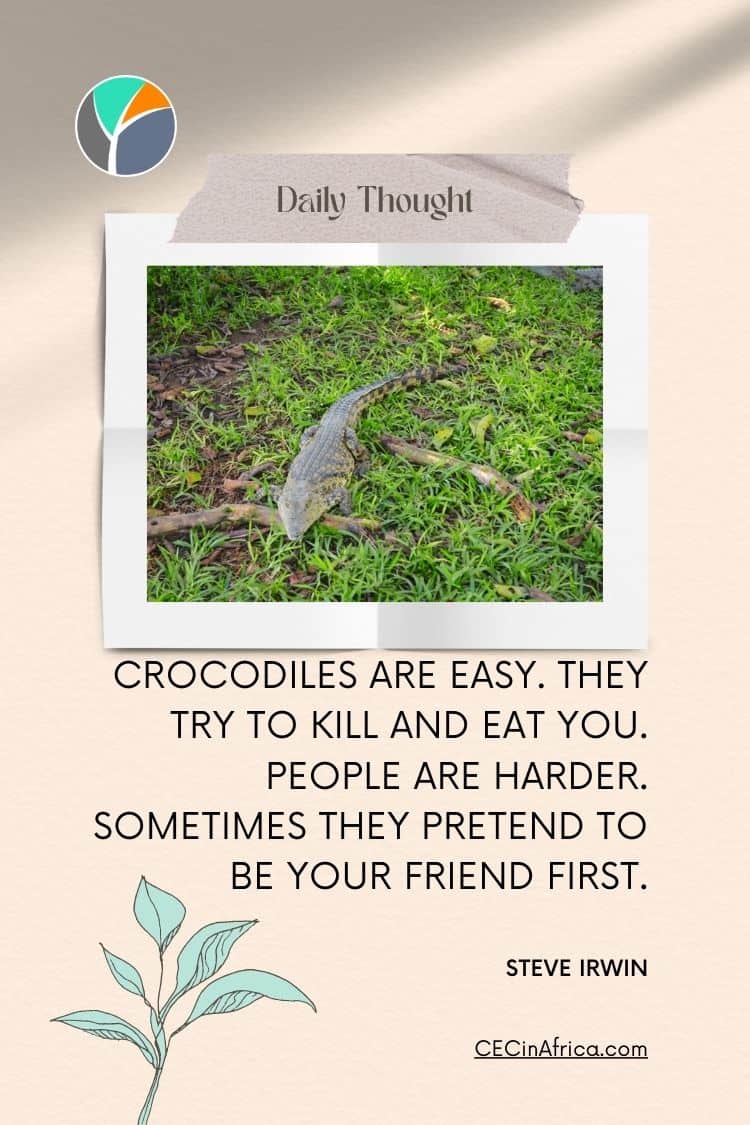 Crocodiles are easy