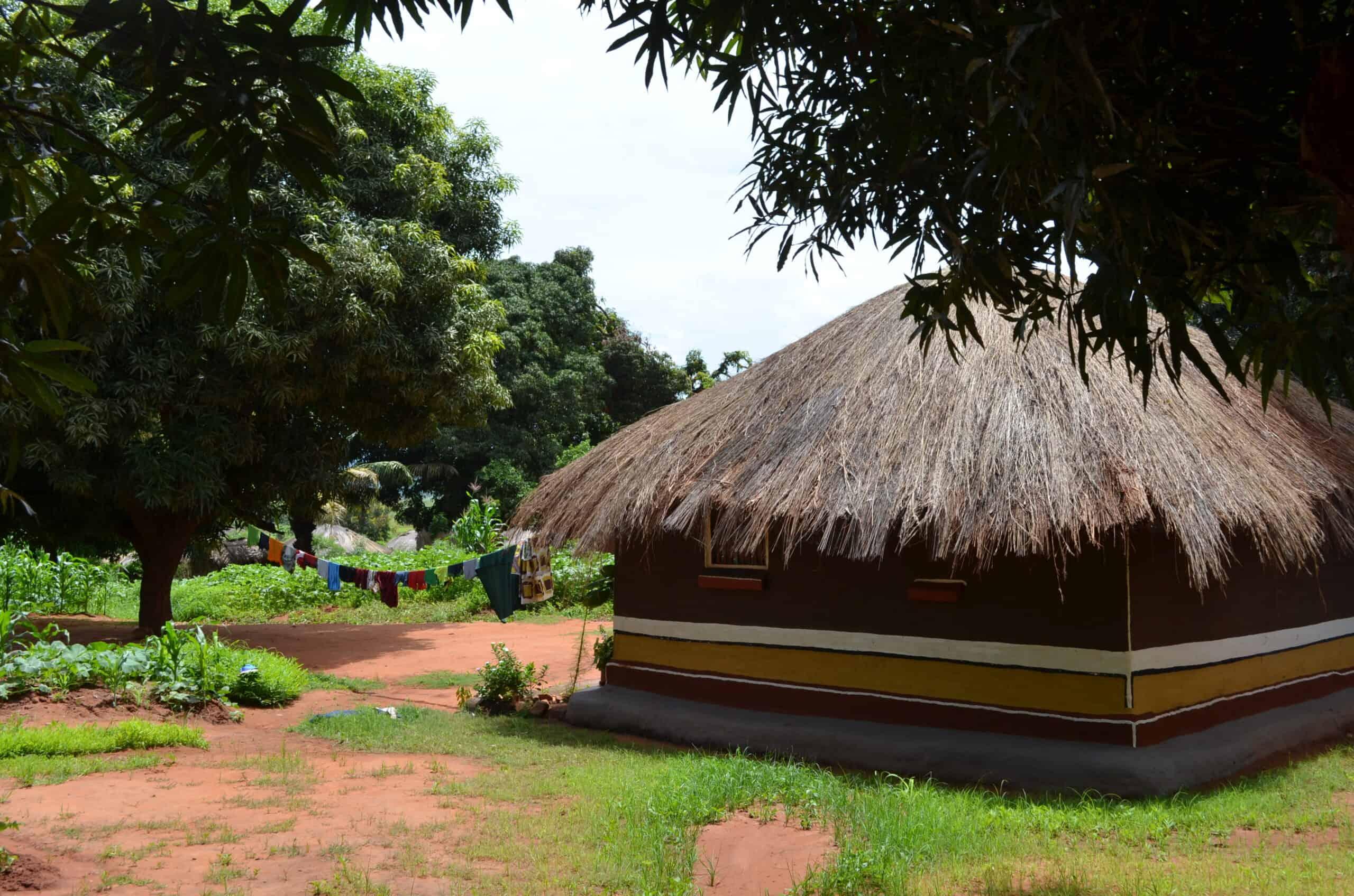 African village house and mango trees