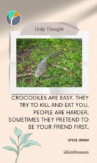 Crocodiles are easy