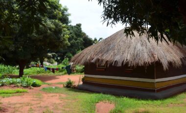 African village house and mango trees