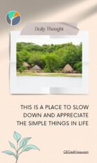 Shelters on the shores of Lake Tanganyika