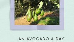 An Avocado or a Pear