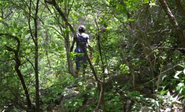 Lost in Zambian Jungle